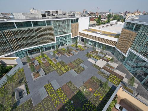 Roof garden in the courtyard